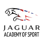 More about jaguar